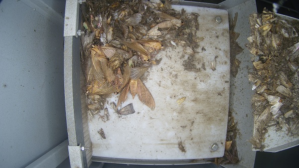 茶園智能蟲情測(cè)報(bào)燈圖片2 茶園智能蟲情測(cè)報(bào)燈圖片2