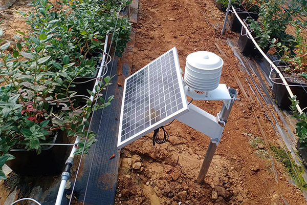 智慧大棚環(huán)境監(jiān)測(cè)系統(tǒng)圖片3