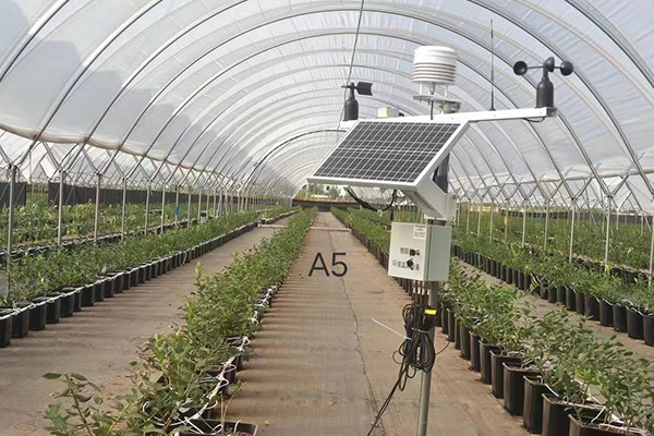 智慧大棚環(huán)境監(jiān)測(cè)系統(tǒng)圖片5