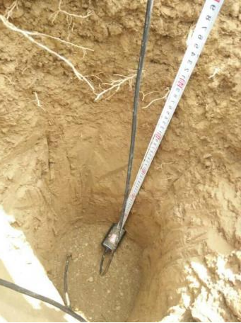 耐鹽堿地土壤傳感器圖片3