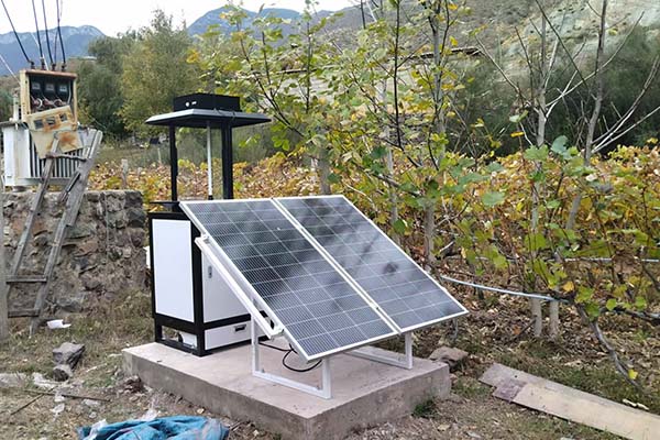 蟲情監(jiān)測圖片2